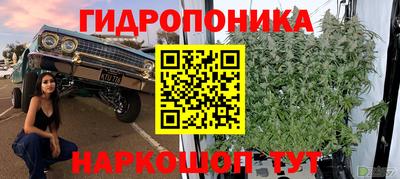 бошки Анапа