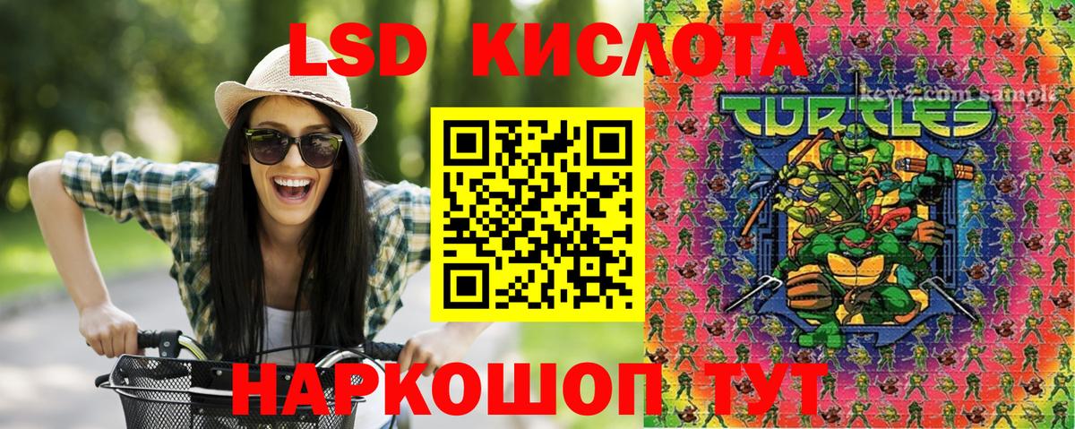 Наркотические марки 1500мкг  цены наркотик  Вход с VPN  Королёв  Наркотические марки 1500мкг 
