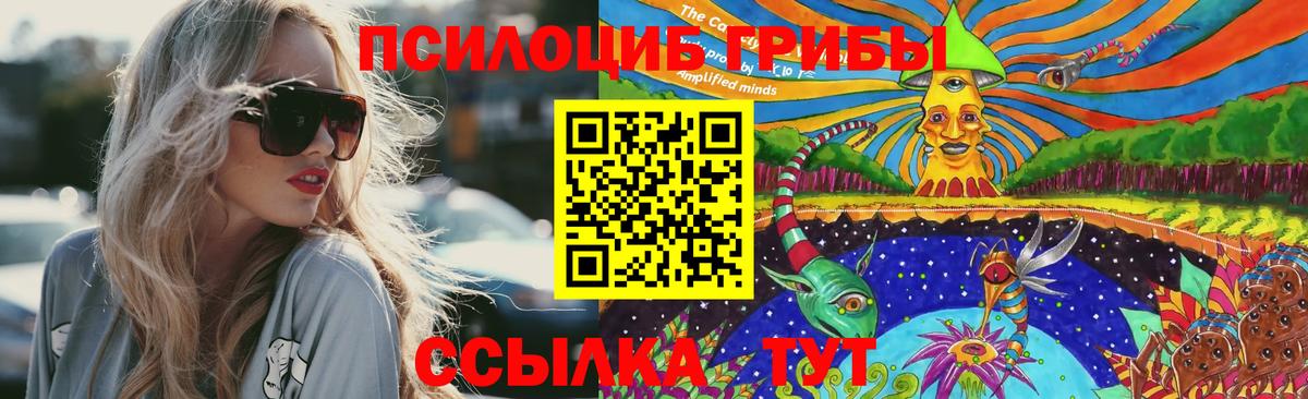 даркнет сайт  Галлюциногенные грибы Psilocybe  Вход с VPN  Королёв 